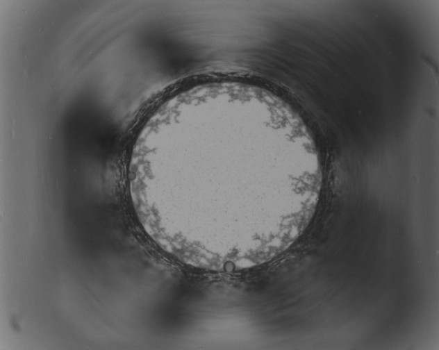 X0000103970920200810101304