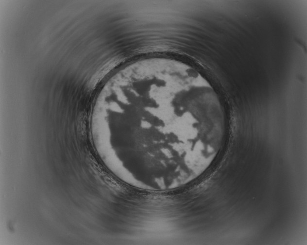 X0000103970921200810101304