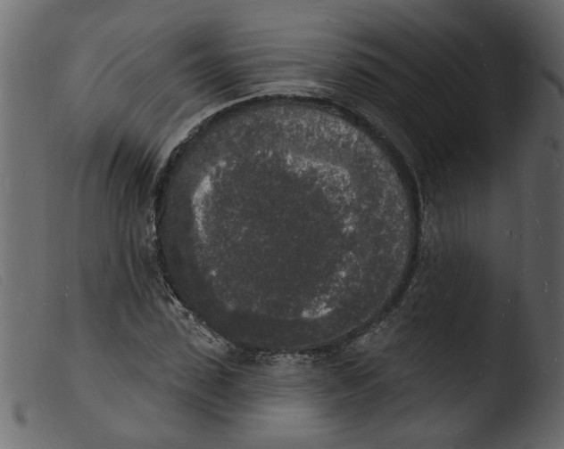 X0000103970923200810101304