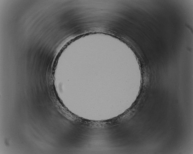 X0000103970924200810101304