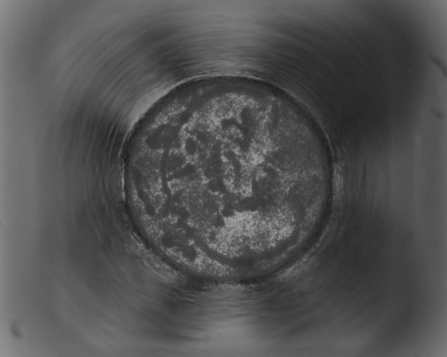 X0000103970925200810101304