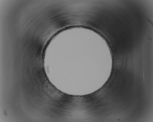 X0000103970927200810101304