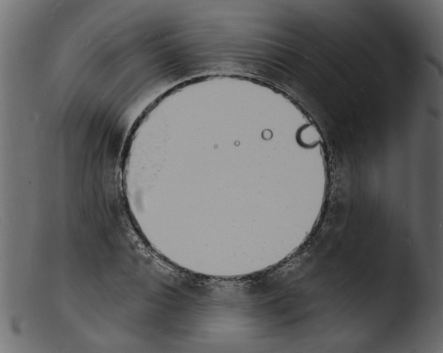 X0000103970928200810101304