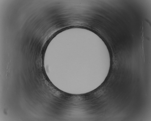 X0000103970931200810101305