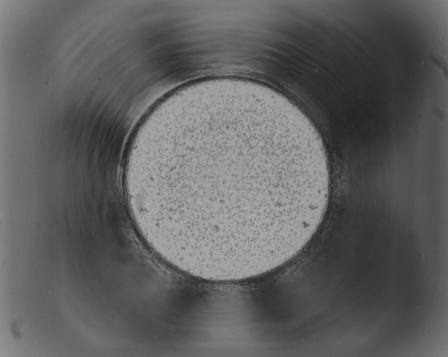 X0000103970932200810101305