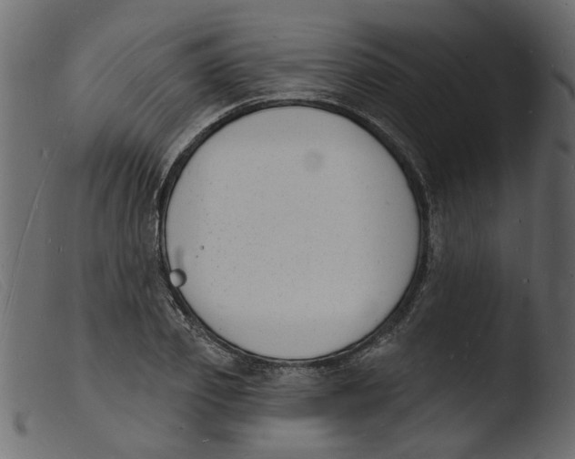 X0000103970933200810101305