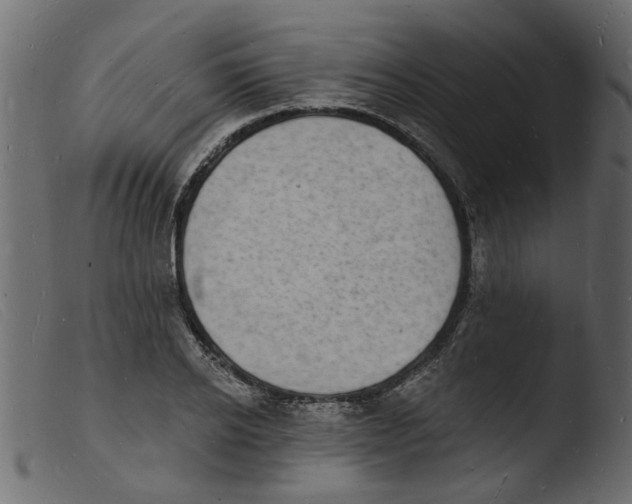 X0000103970934200810101305