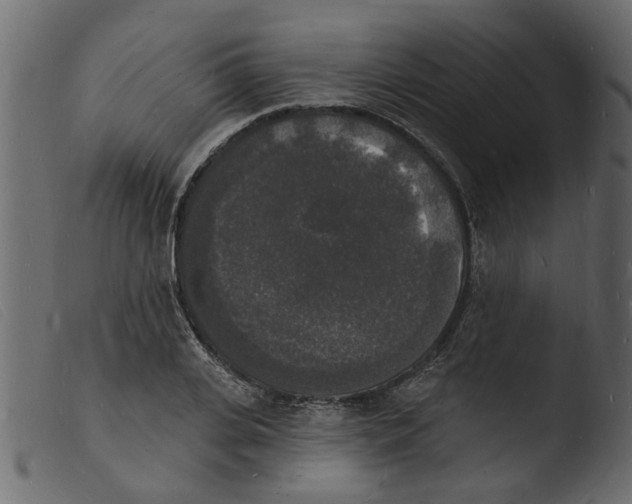 X0000103970935200810101305