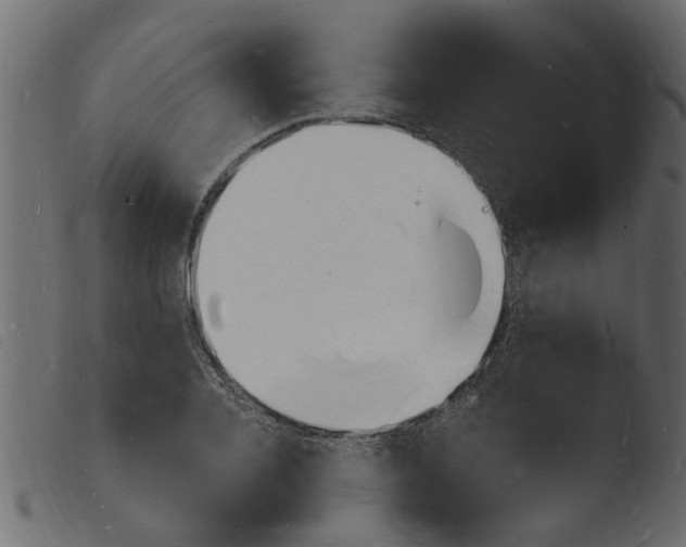 X0000103970936200810101305