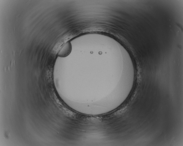 X0000103970937200810101305