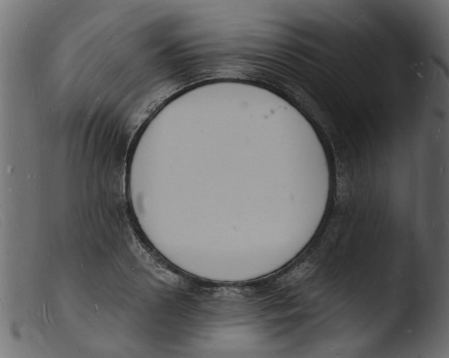 X0000103970938200810101305