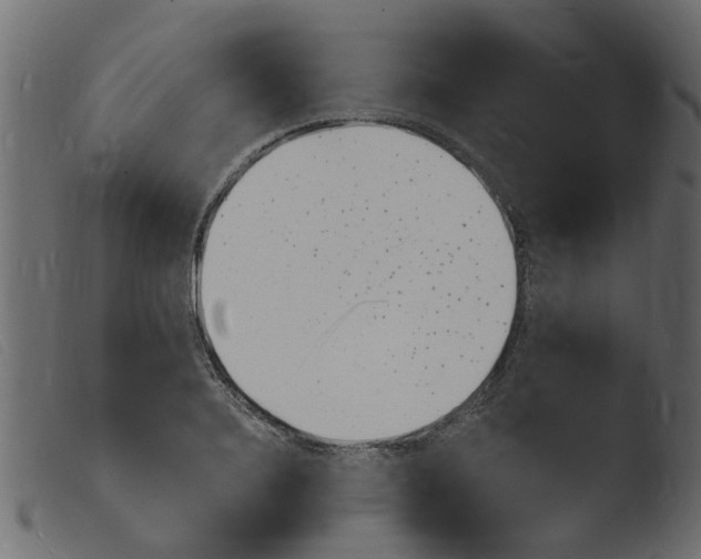 X0000103970940200810101305