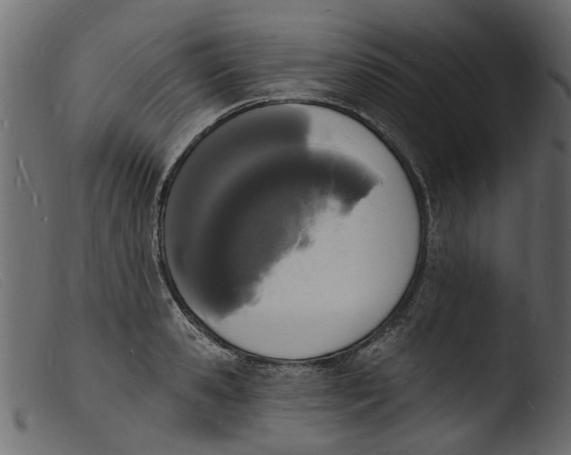 X0000103970941200810101305