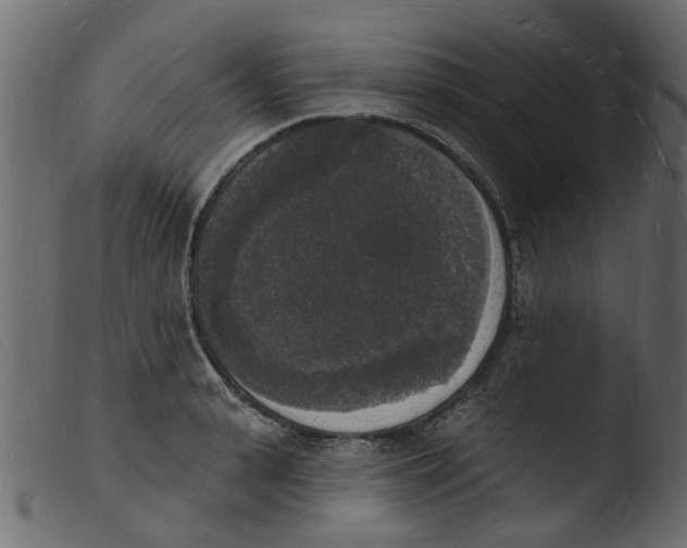 X0000103970943200810101305