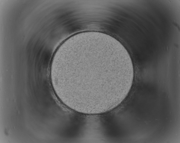 X0000103970944200810101305