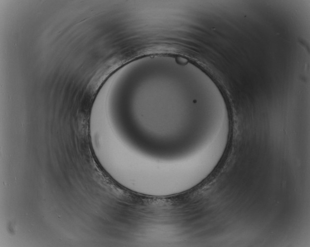 X0000103970945200810101305