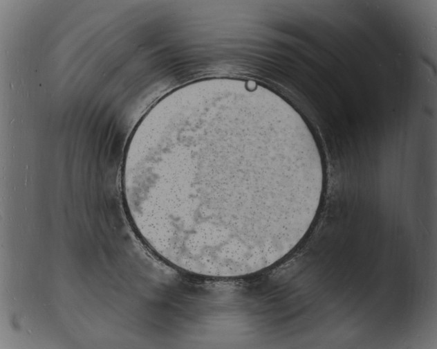 X0000103970946200810101305