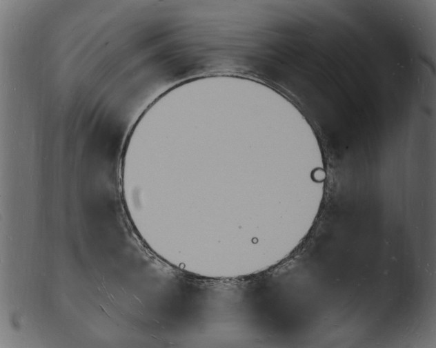 X0000103970948200810101305