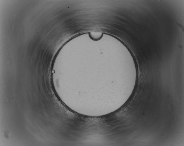 X0000103970949200810101305