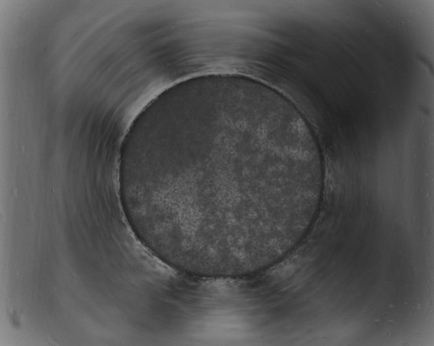 X0000103970950200810101305