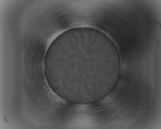 X0000103970951200810101305