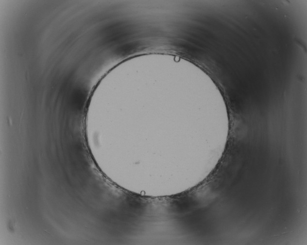 X0000103970952200810101305