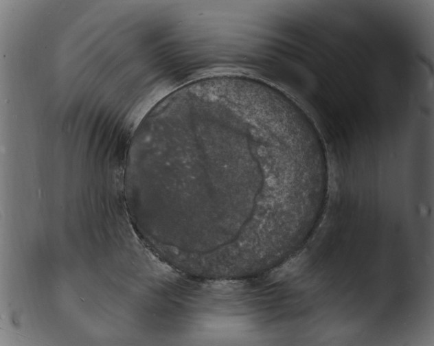 X0000103970953200810101305