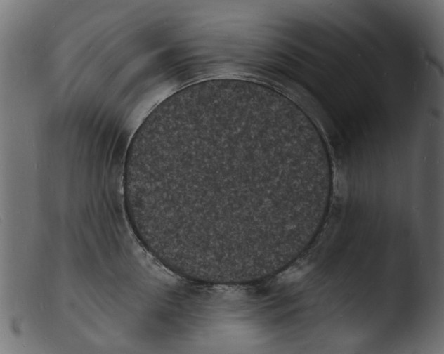 X0000103970954200810101305