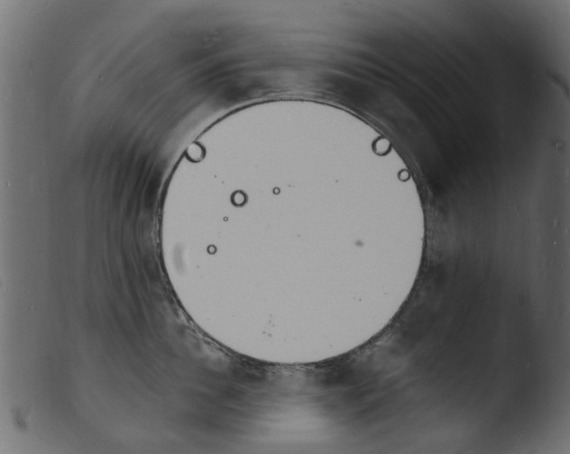 X0000103970956200810101305