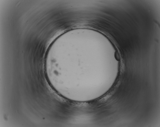 X0000103970957200810101305