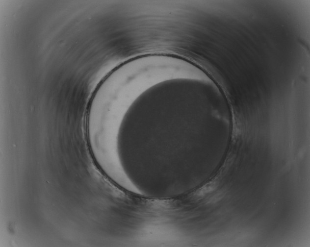 X0000103970958200810101305