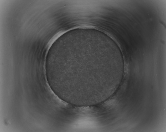 X0000103970959200810101305