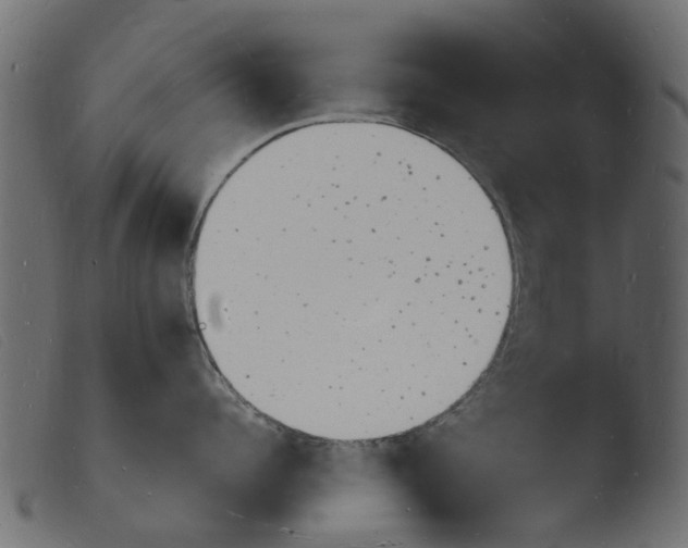 X0000103970960200810101305