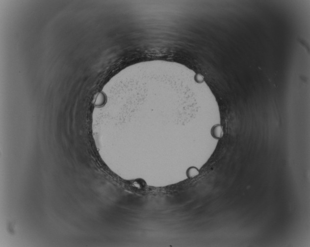 X0000103970961200810101304