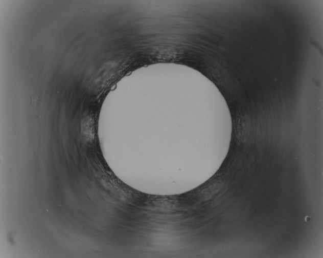 X0000103970962200810101304