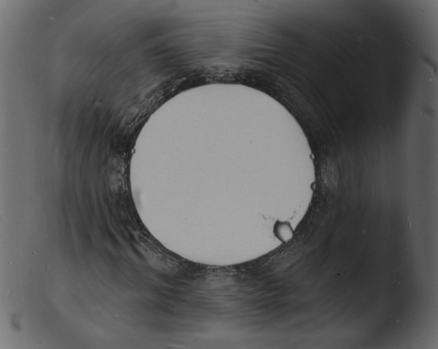 X0000103970964200810101304