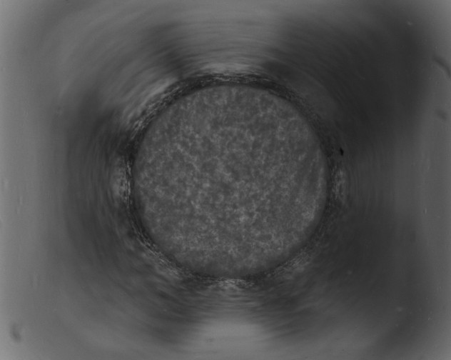 X0000103970966200810101304