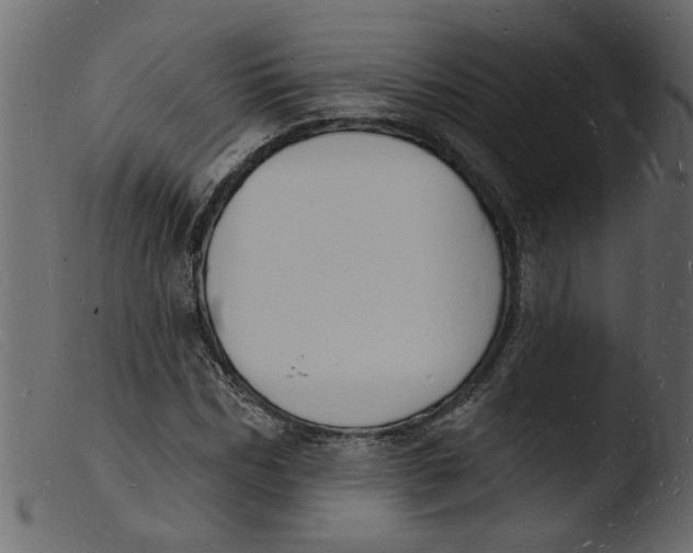 X0000103970970200810101304