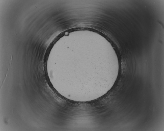 X0000103970972200810101304