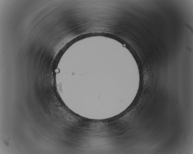 X0000103970973200810101304