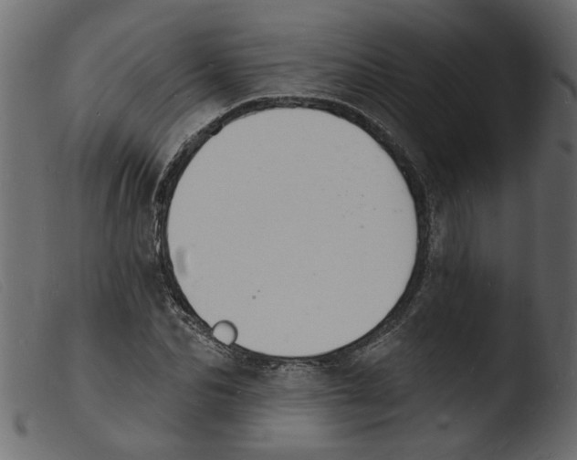 X0000103970974200810101304