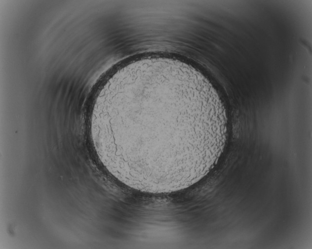 X0000103970975200810101304