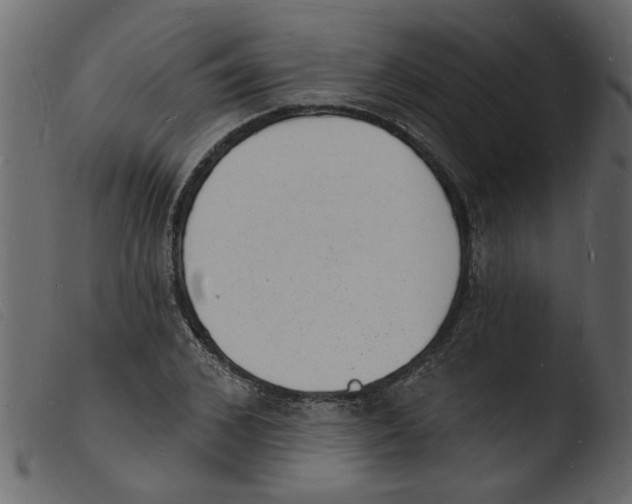 X0000103970976200810101304