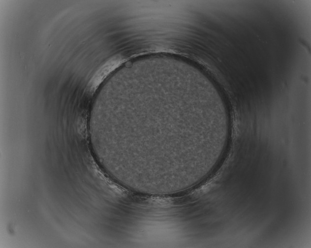 X0000103970977200810101304