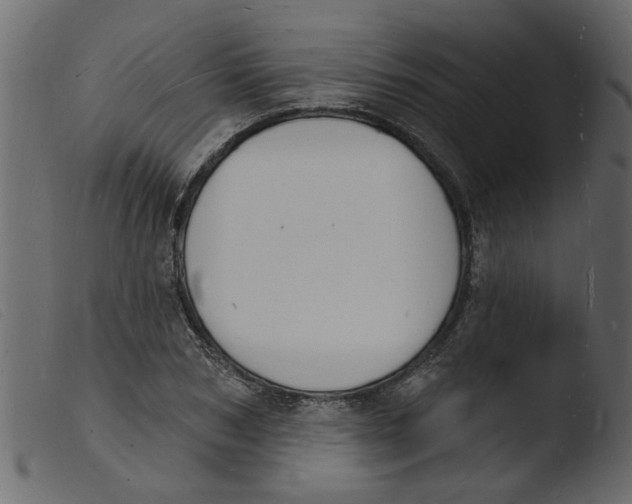 X0000103970978200810101304