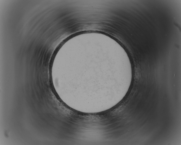 X0000103970980200810101304