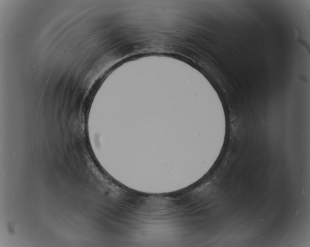 X0000103970981200810101304