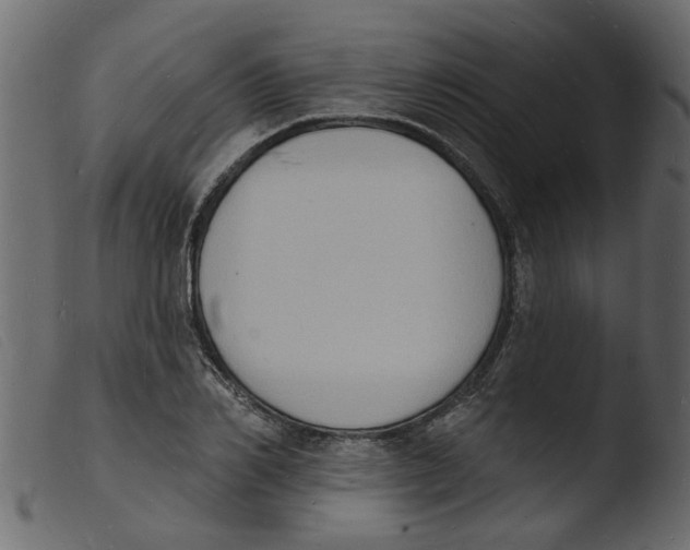 X0000103970982200810101304