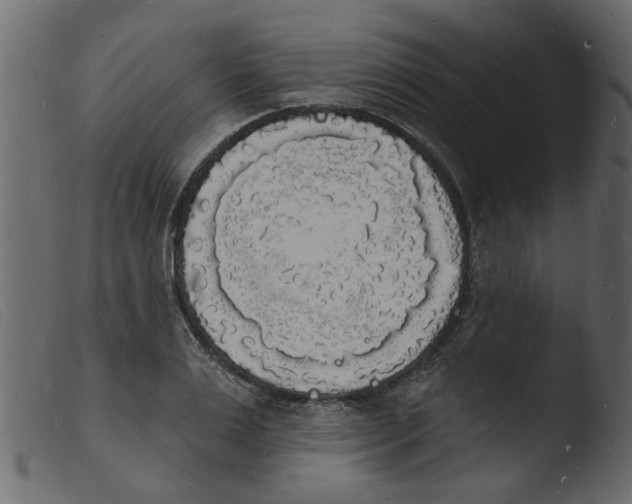 X0000103970983200810101304