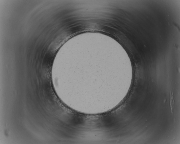 X0000103970985200810101304